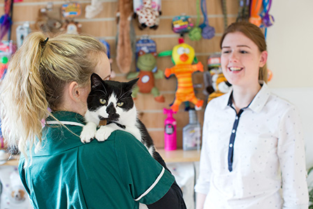 vet nurse with cat on shoulder