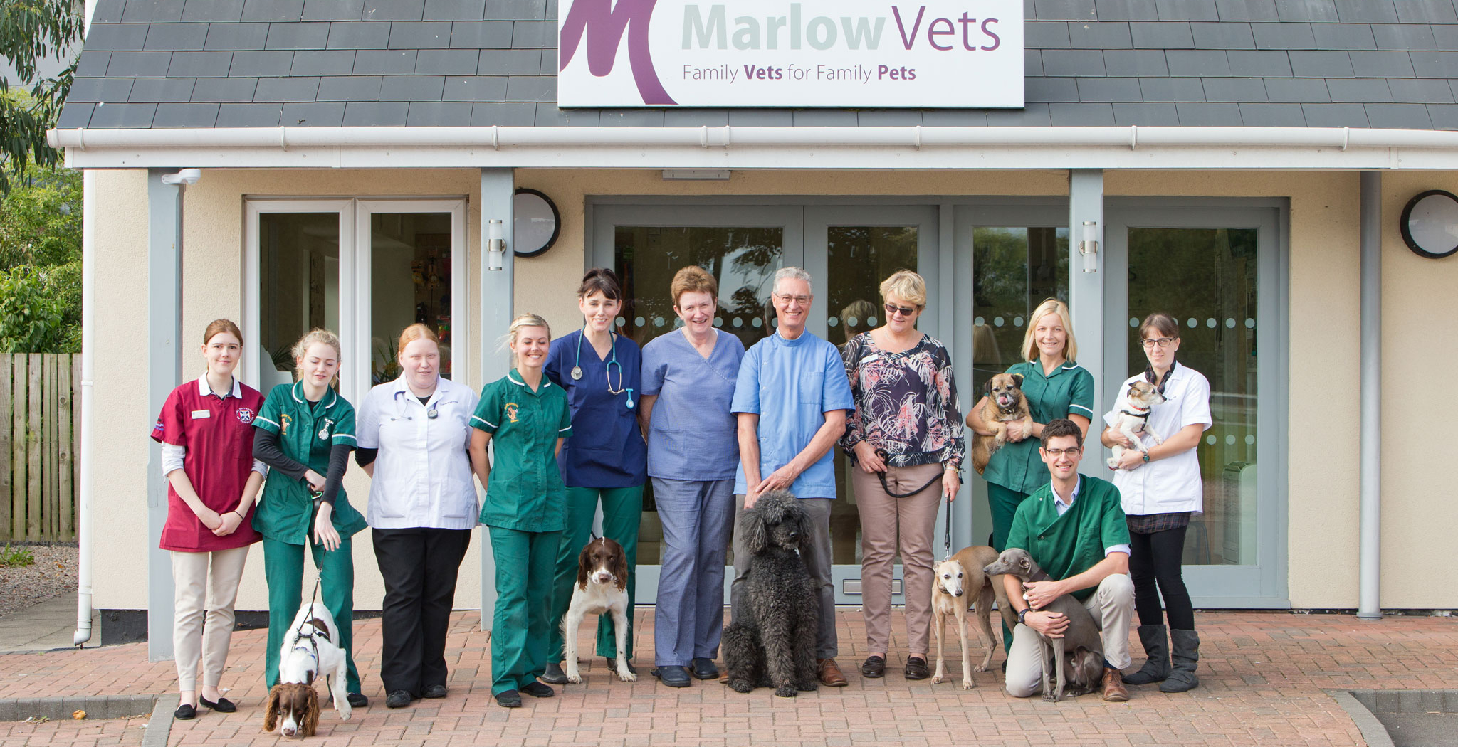 Marlow Vets Veterinary Team